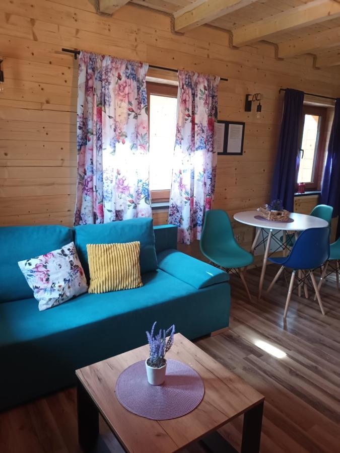Apartment Motylowe Wzgorze